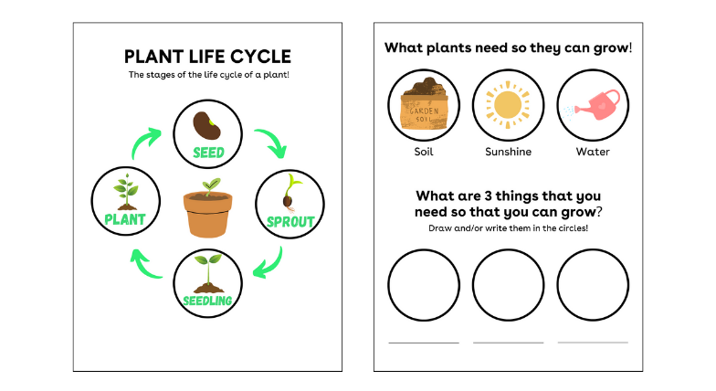 Growth Mission Planting Steps photo of pot with soil, pot with seeds, pot with sun and water