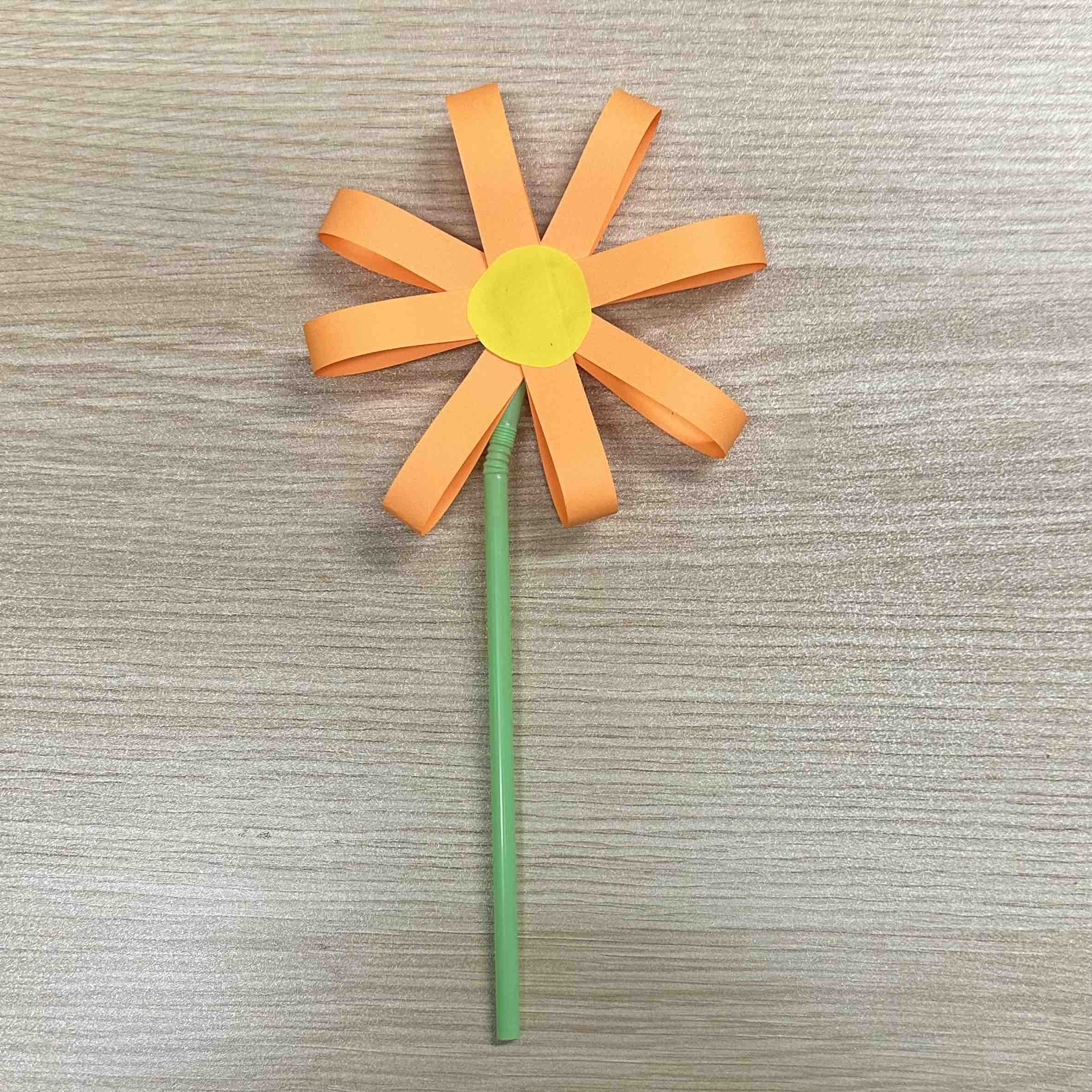 Paper Flower Paper Flower