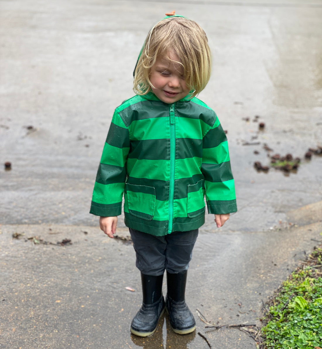 TinyLetter: Rain is a blessing