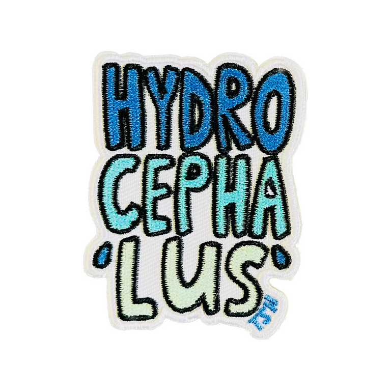 Hydrocephalus Patch